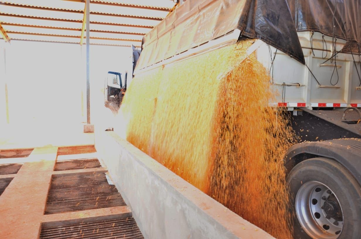 Balança Comercial goiana cresce 327% em janeiro, com saldo de US$ 188 milhões