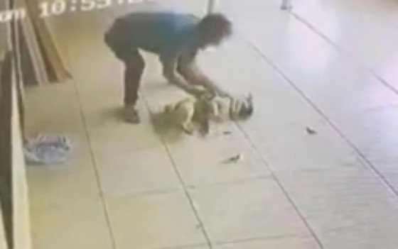 Homem se irrita com latido, invade casa e espanca cachorro do vizinho; veja vídeo