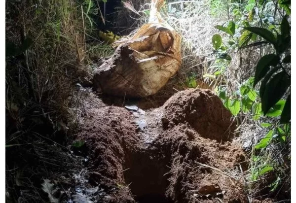 Homem arranca parte da cabeça de rival e enterra corpo perto de rio