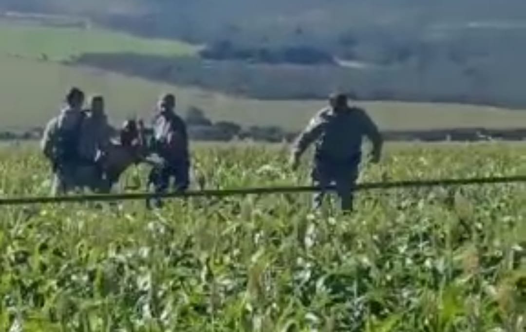 Vídeo : Motorista de app é encontrado esfaqueado jogado em Milharal de Planaltina Goiás.