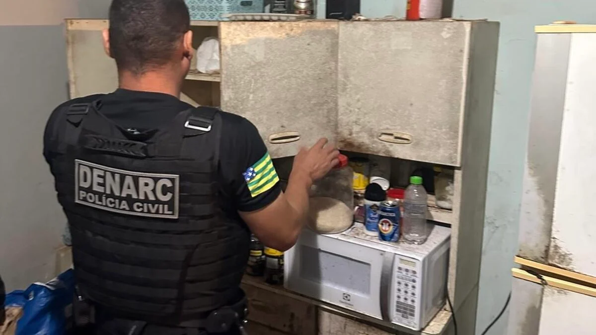 Operação em Goiás, DF e TO cumpre 100 mandados judiciais