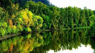 Maioria dos brasileiros pensa que meio ambiente pesará na eleição, diz pesquisa