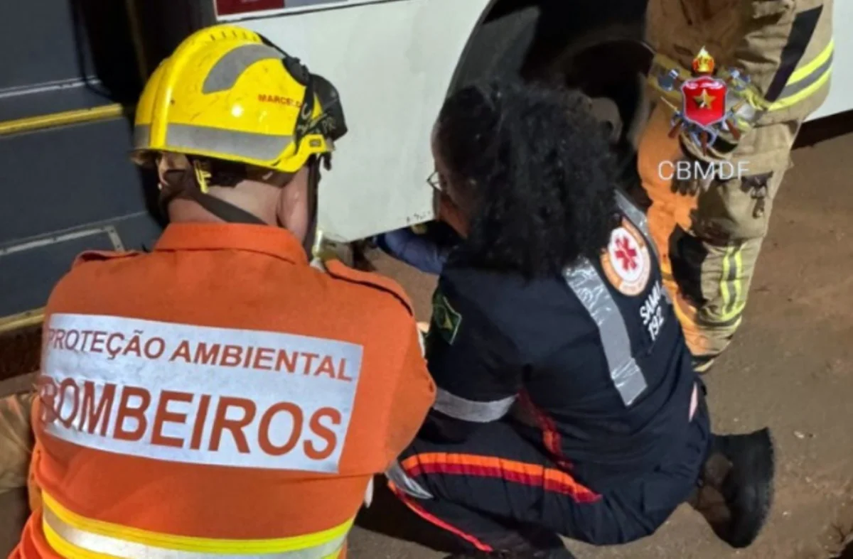 Mulher morre atropelada em garagem de empresa de ônibus