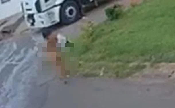 Mulher fica pelada no meio da rua após destruir jardim de praça no DF.