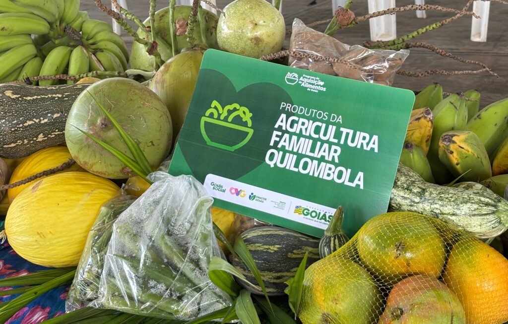 Governo de Goiás investiu mais de R$ 80 milhões na agricultura familiar em 2025