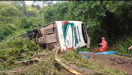 Ônibus bate contra árvore caída na pista, tomba e deixa cinco vítimas