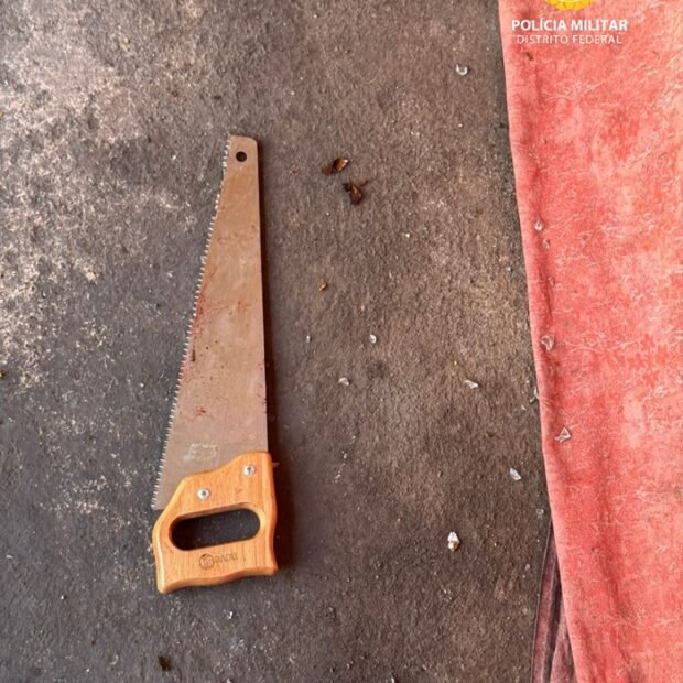 Mulher de 73 anos é gravemente ferida pelo próprio filho em Ceilândia