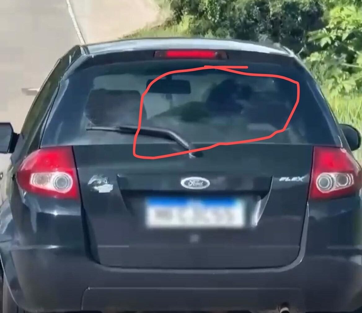 Enquanto mulher dirige, casal faz sexo no banco de trás.