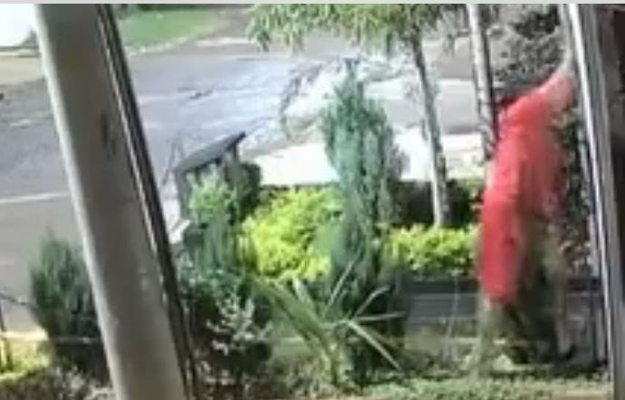 Vídeo ; Ladrão aproveita madrugada para furtar câmera de residência no jardim ingá