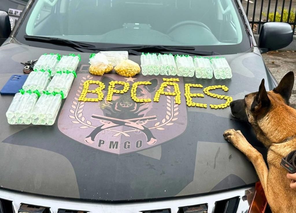 Mais de mil comprimidos de ecstasy são apreendidos pela PM em Goianésia com ajuda de cães farejadores