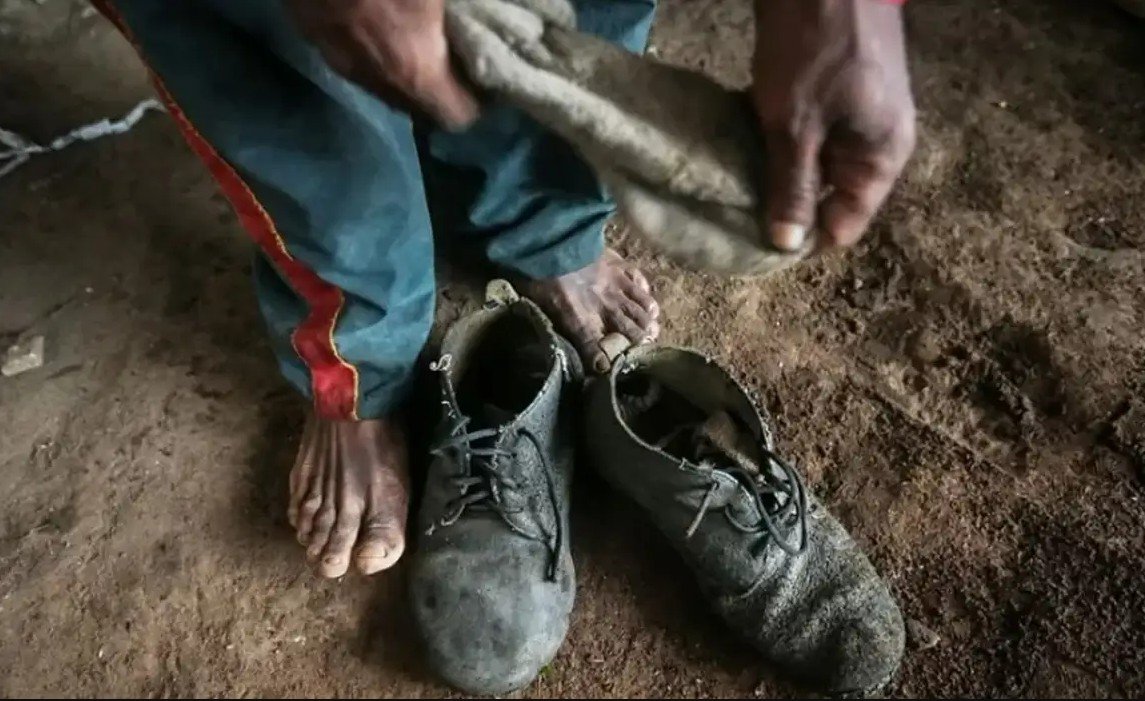 Goiás registra mais de 240 trabalhadores resgatados de condições análogas à escravidão em um ano