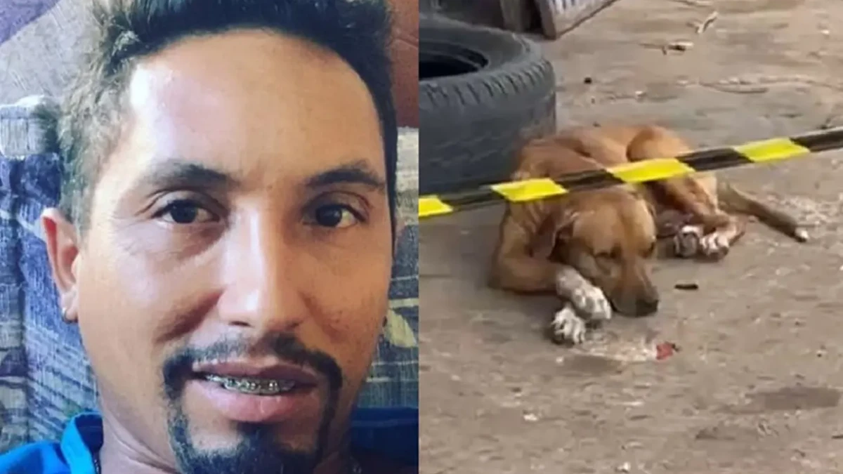 Vídeo: cachorro se recusa a sair da porta de borracharia após tutor ser morto em Anápolis