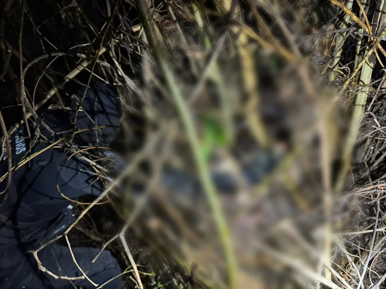 Corpo de Daiane tinha bala alojada na cabeça; versão de síndico é contestada