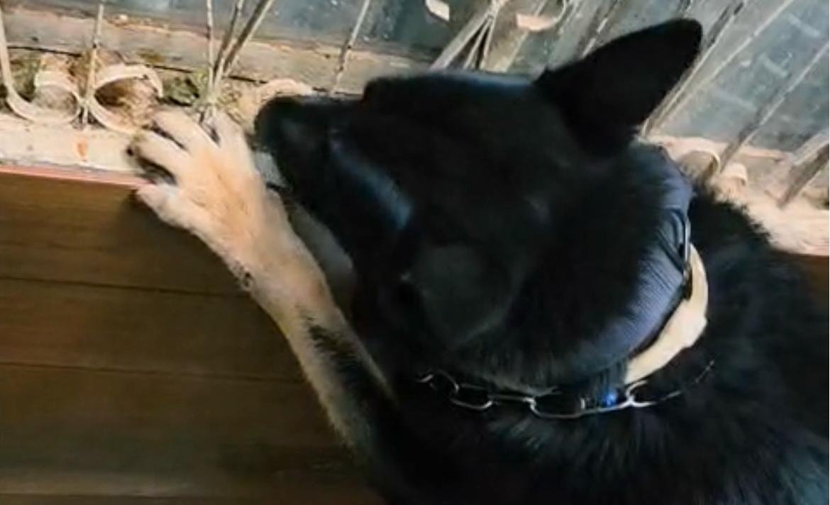 PCDF prende traficantes flagrados em vídeo vendendo drogas em ceilândia