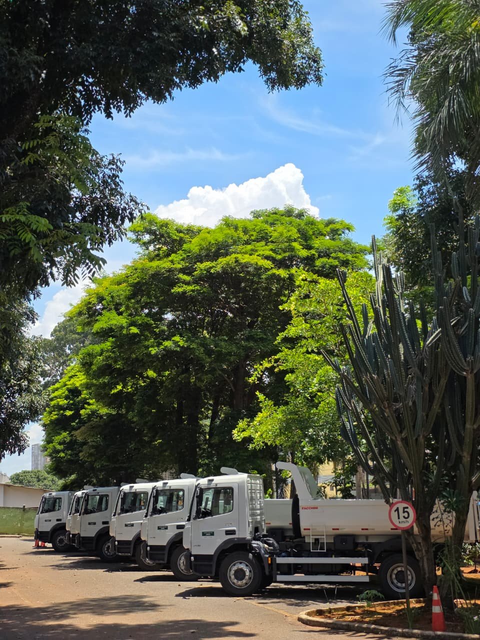 Governo de Goiás realiza entrega de R$ 8,5 milhões pelo Programa Mecaniza Campo