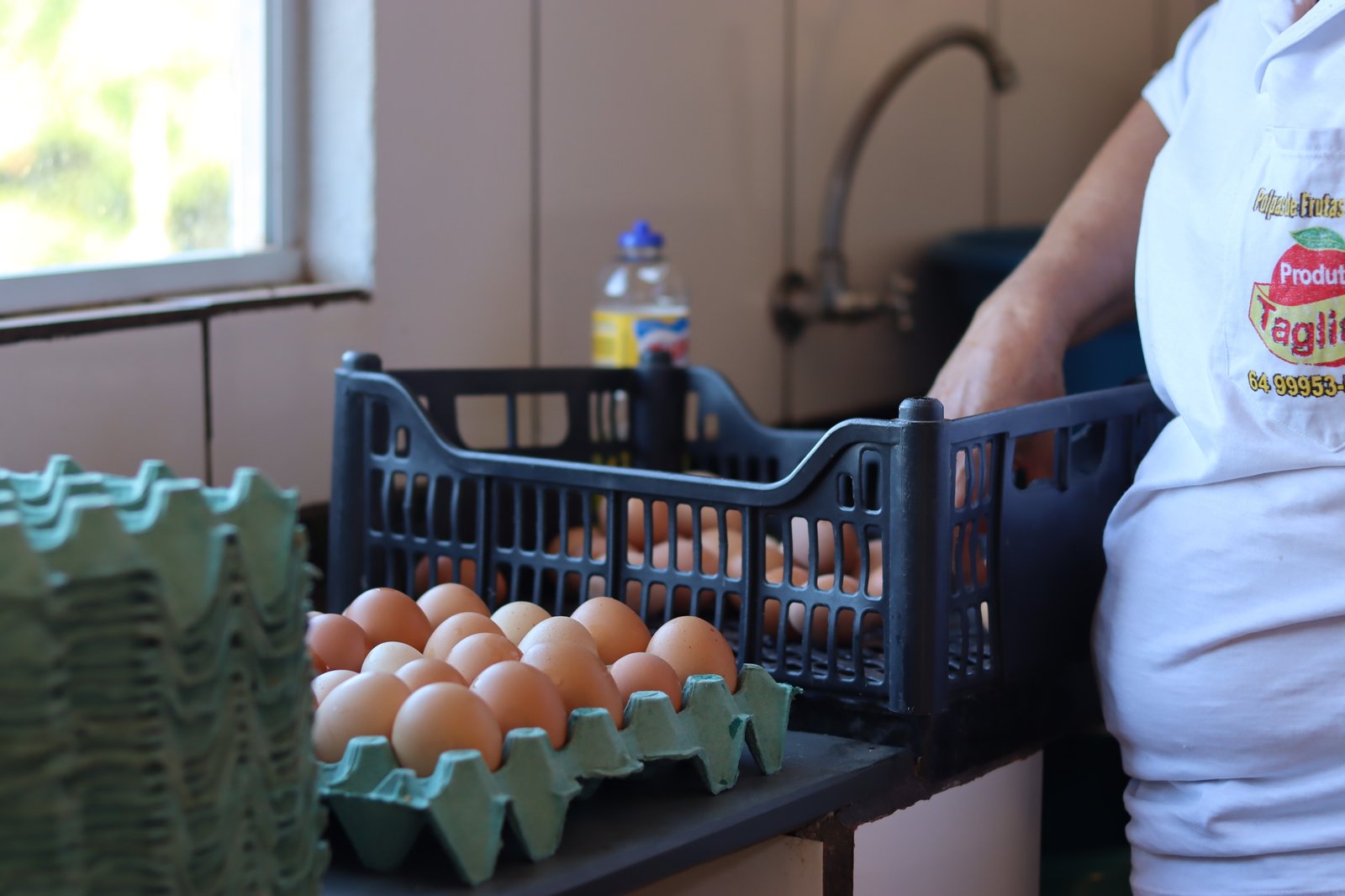 Governo de Goiás divulga resultado de seleção para projeto de melhoria da qualidade das agroindústrias