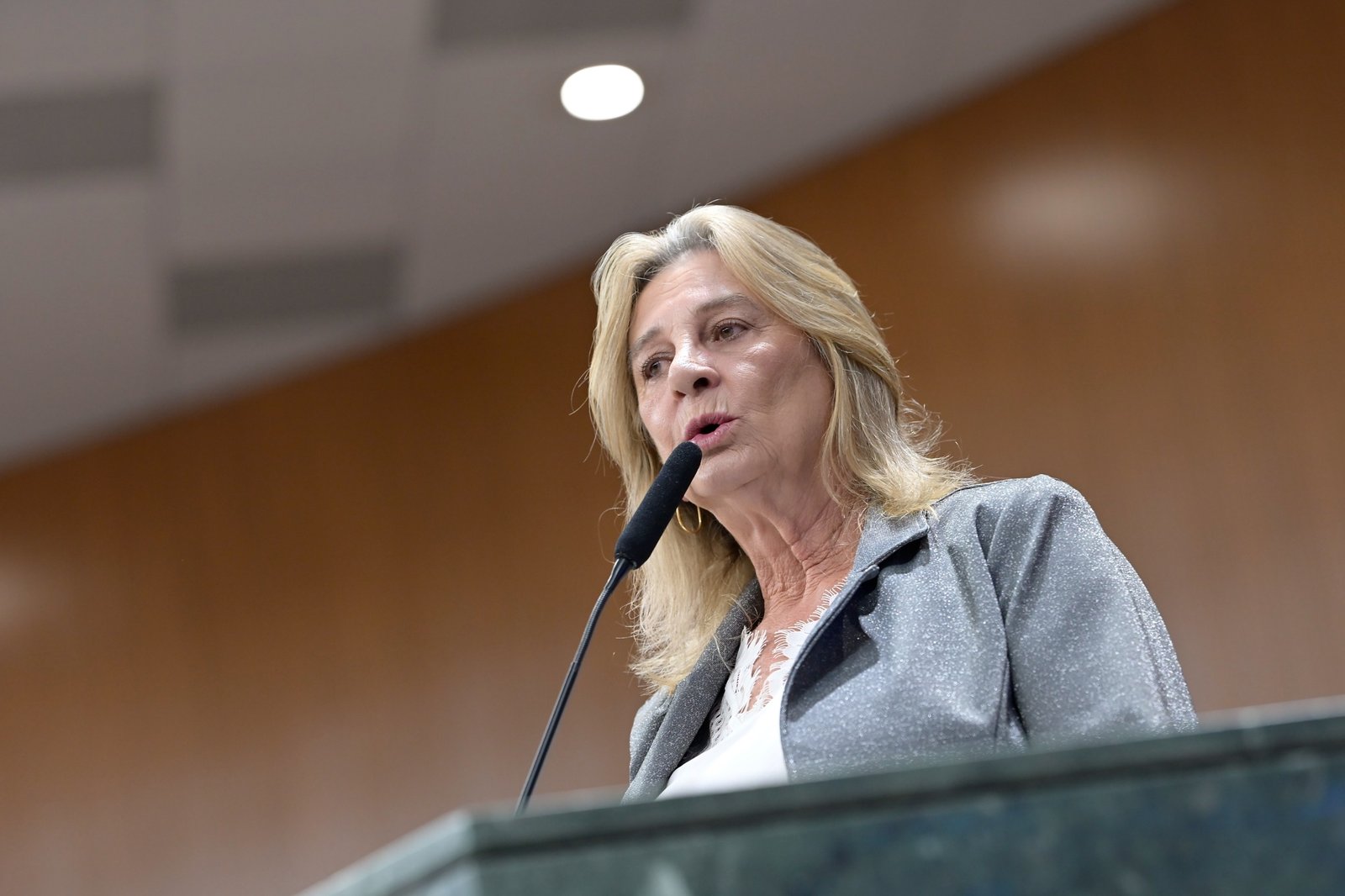 Destaque em Goiás ; Dra. Zeli destaca fortalecimento da rede de proteção às mulheres durante sessão solene na Alego