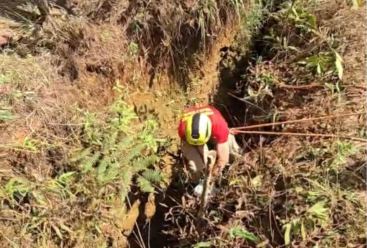Vídeo ; Cavalo Cai em vala com 02 metros de profundidade e acaba resgatado pela equipe do CBMGO em Luziânia