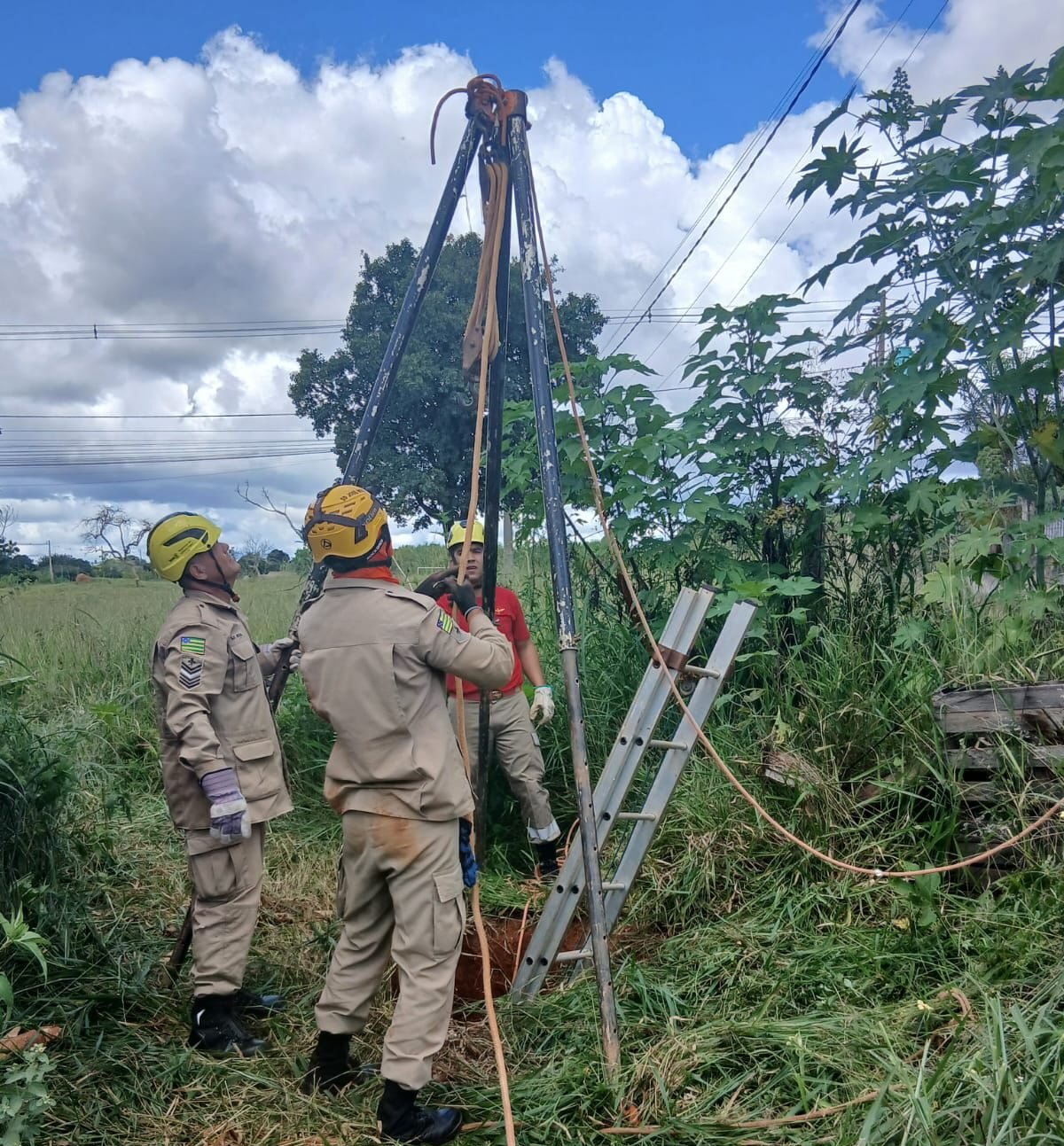 Vídeo ; Vaca que caiu em fossa é resgatada por Bombeiros em Luziânia