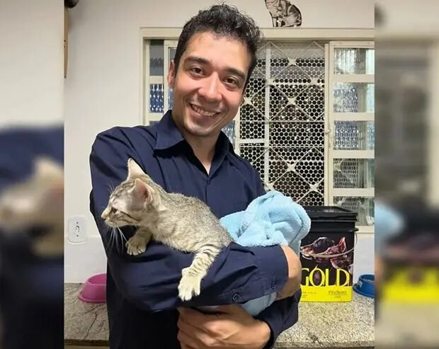 Homem é condenado a 9 anos de prisão por matar 17 gatos