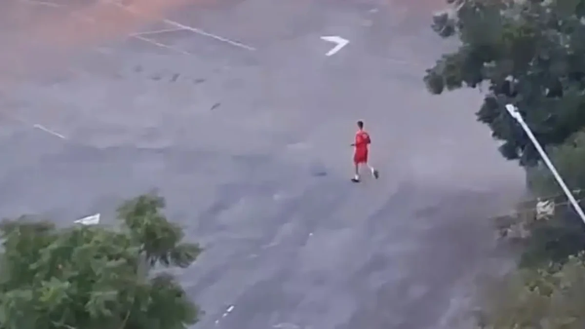 Cachorros de rua atacam Bombeiro durante atividade física e um acaba morto á tiros em Goiás