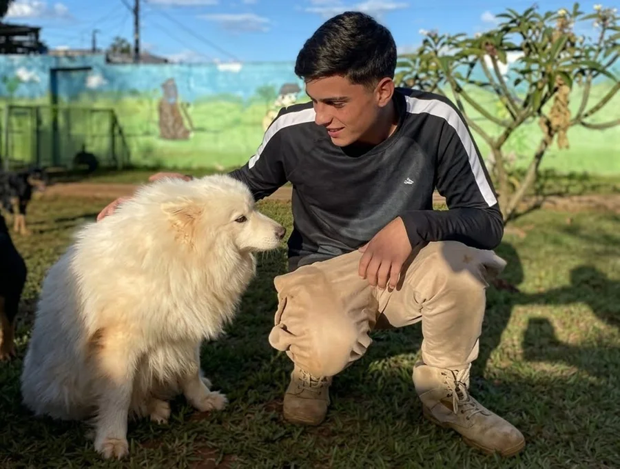 TJDFT condena dono de Pet hotel por deixar cães morrerem de fome e sede no DF