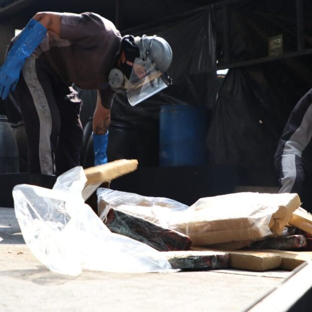 DF retira 50 toneladas de drogas das ruas em sete anos