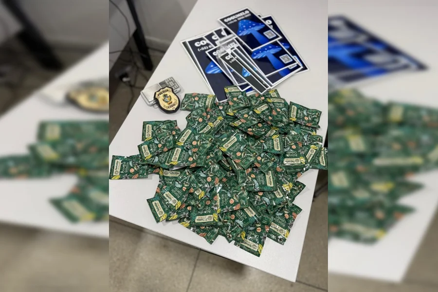 Traficante é preso vendendo congumelos alucinógenos em alto paraíso Goiás